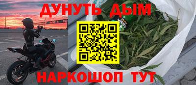 прущие крисы Кингисепп