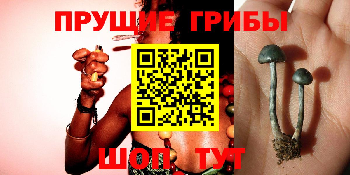 Псилоцибиновые грибы Psilocybine cubensis  Вход с VPN  Буйнакск 
