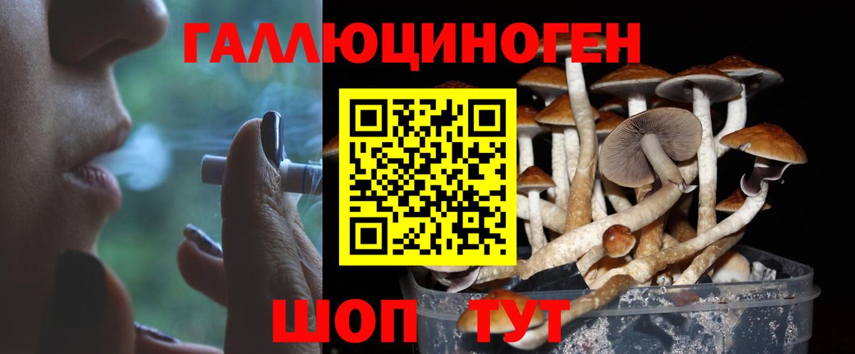 Галлюциногенные грибы ЛСД Буйнакск